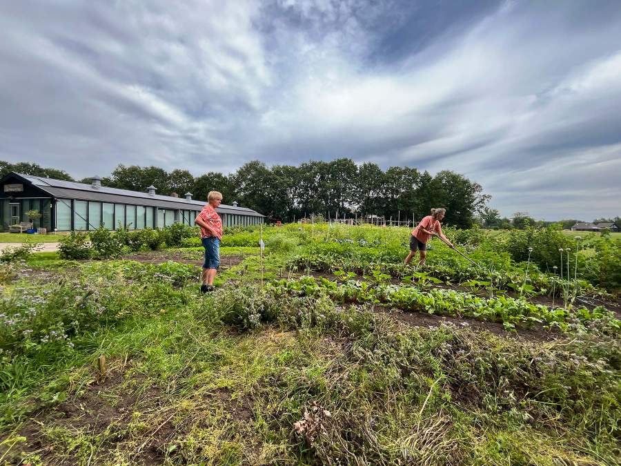 Charlotte en Mariëlle zijn meerdere bedden aan het opmaken voor de koolplanten